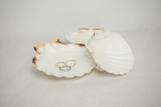 Sea Shell Jewelry Dish